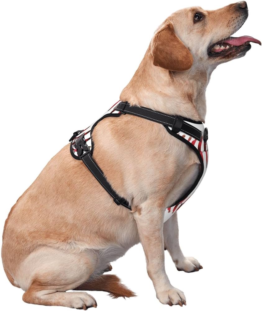 ASTRALUXCO™ -  PERSONALIZED NO PULL DOG HARNESS