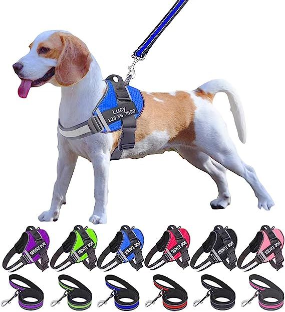 ASTRALUXCO™ -  PERSONALIZED NO PULL DOG HARNESS