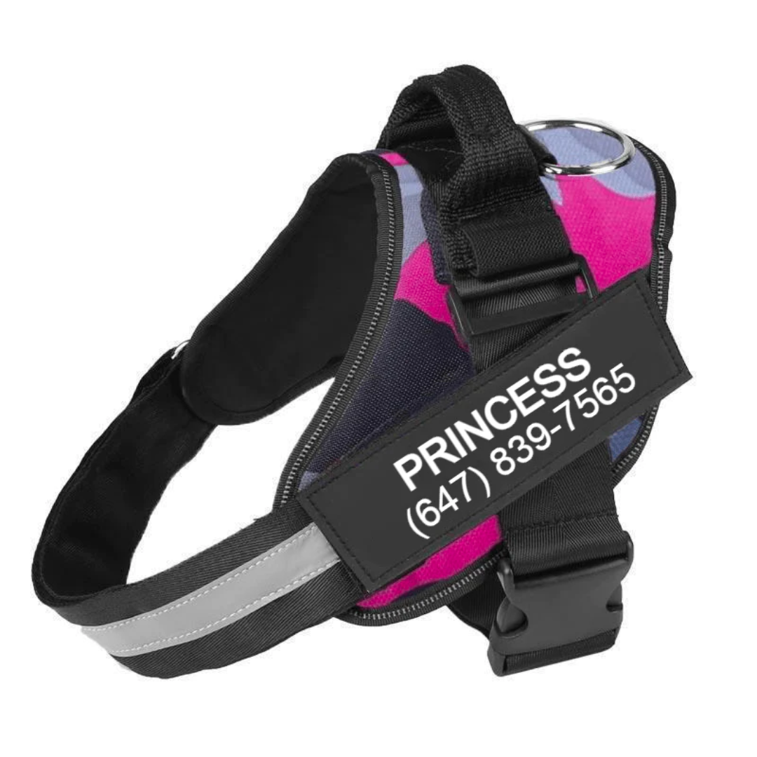 ASTRALUXCO™ -  PERSONALIZED NO PULL DOG HARNESS