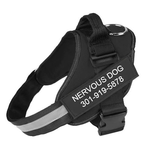 ASTRALUXCO™ -  PERSONALIZED NO PULL DOG HARNESS