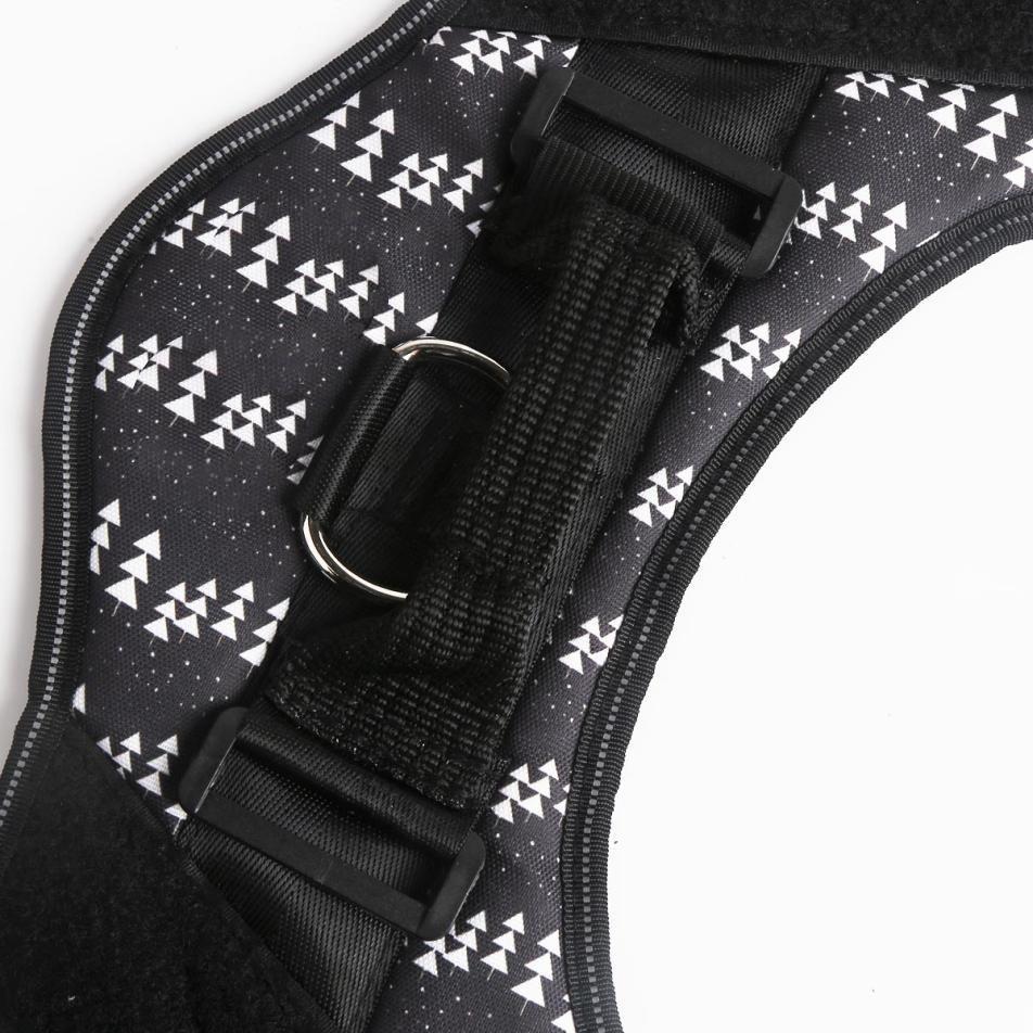 ASTRALUXCO™ -  PERSONALIZED NO PULL DOG HARNESS